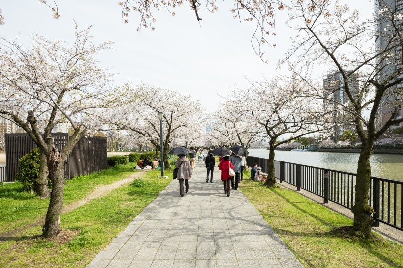 春天公園<a href=https://www.meiriqutu.com/tag/huaduo2.html target=_blank class=infotextkey><a href=https://www.meiriqutu.com/tag/7605.html target=_blank class=infotextkey>花朵</a></a>圖片