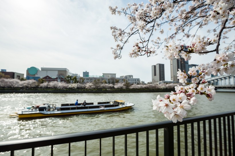 春天公園<a href=https://www.meiriqutu.com/tag/huaduo2.html target=_blank class=infotextkey><a href=https://www.meiriqutu.com/tag/7605.html target=_blank class=infotextkey>花朵</a></a>圖片
