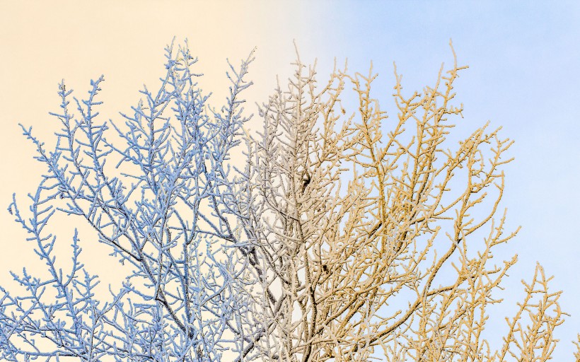 冬天唯美雪景圖片