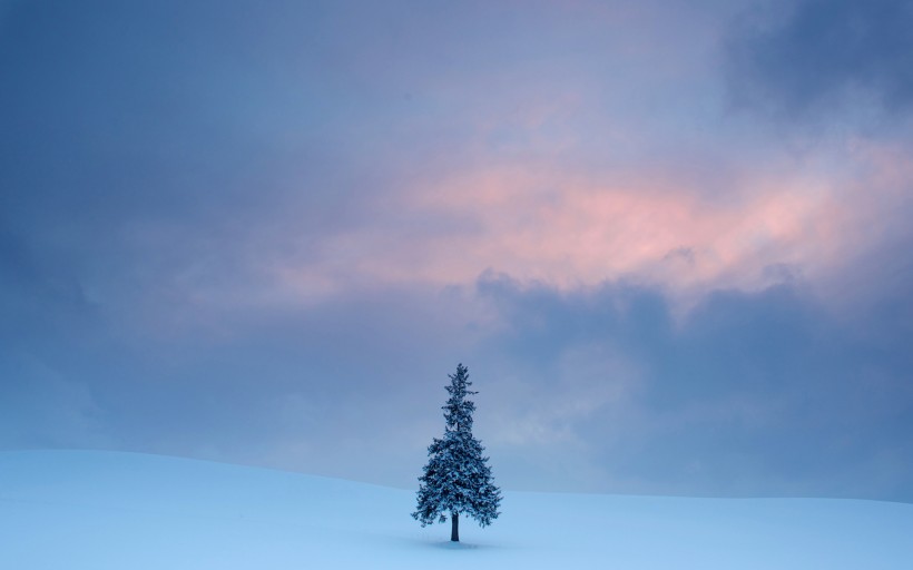 冬天唯美雪景圖片