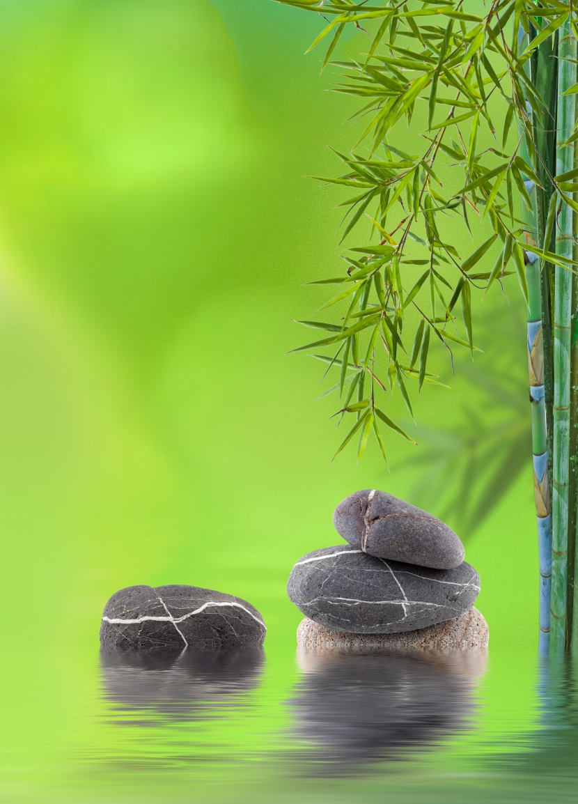 鵝卵石竹子景色圖片