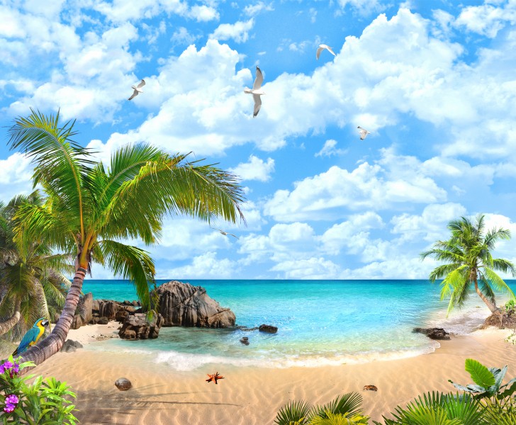 海灘椰子樹圖片