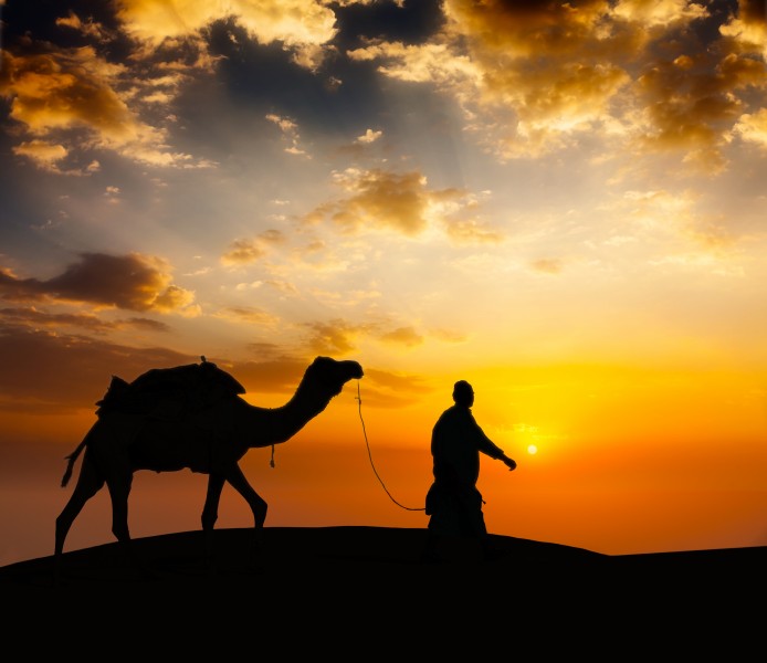 荒漠駱駝人物行走圖片