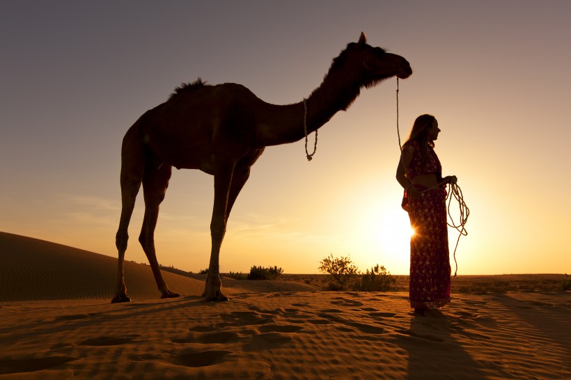 荒漠駱駝人物行走圖片