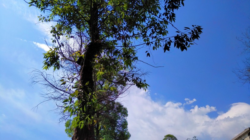 白雲藍天風景圖片