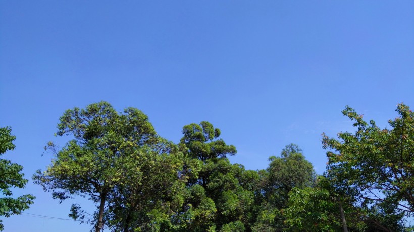 白雲藍天風景圖片