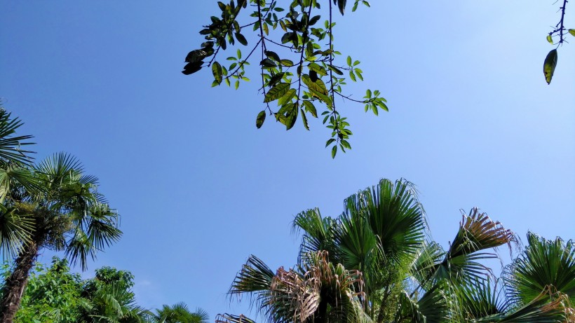 白雲藍天風景圖片