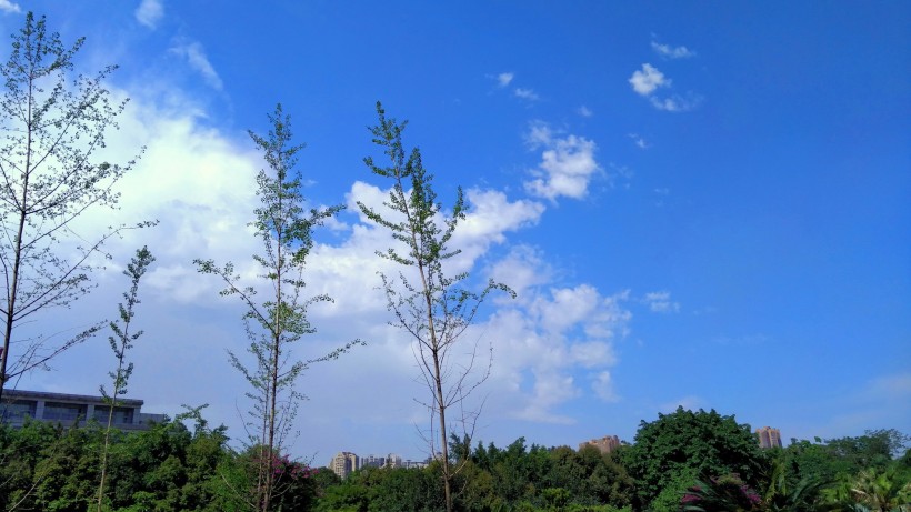 白雲藍天風景圖片