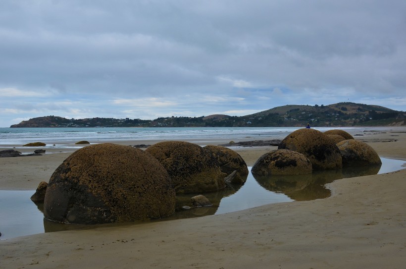 新西蘭摩拉基大圓石圖片