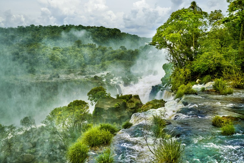 熱帶雨林風景圖片