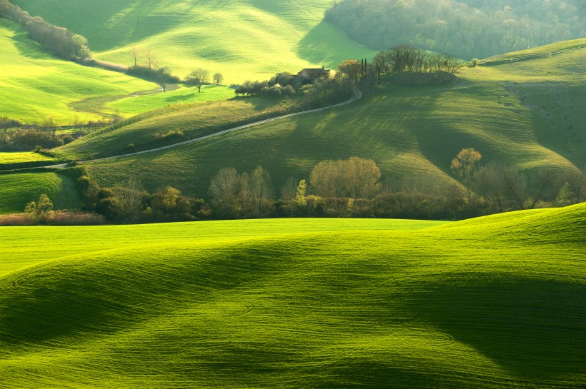 山坡草原圖片