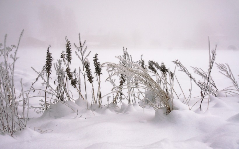 唯美雪景冬季風景圖片