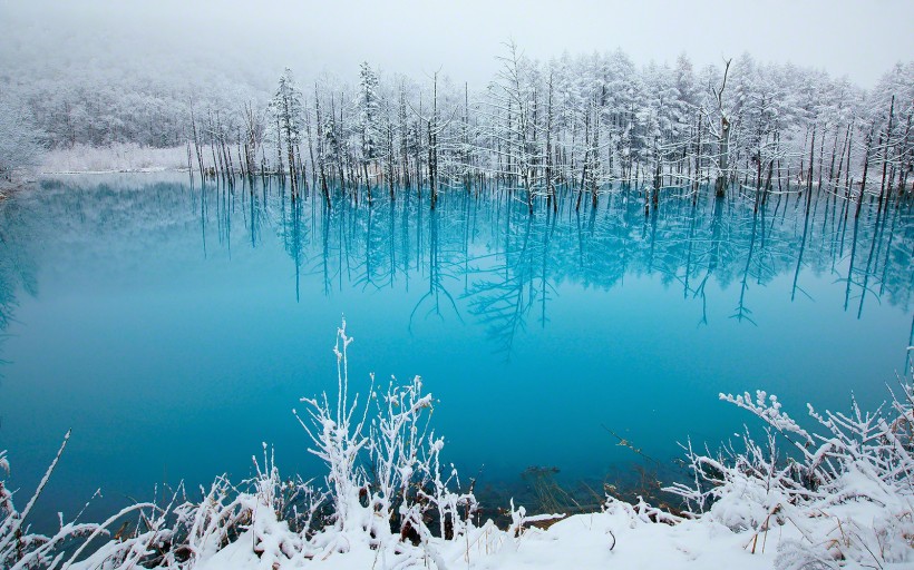 唯美雪景冬季風景圖片