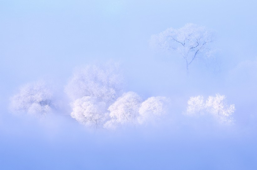 唯美霧凇風景圖片
