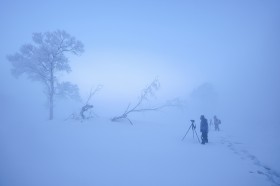唯美霧凇風景圖片