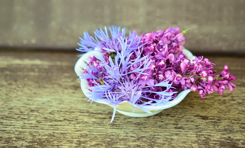 熱鬧盛開的丁香花圖片