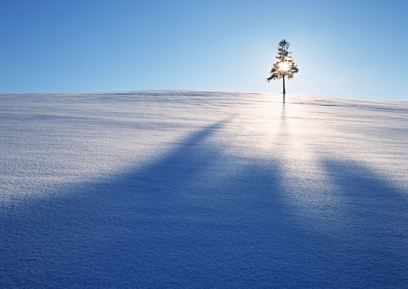 冬日雪景圖片