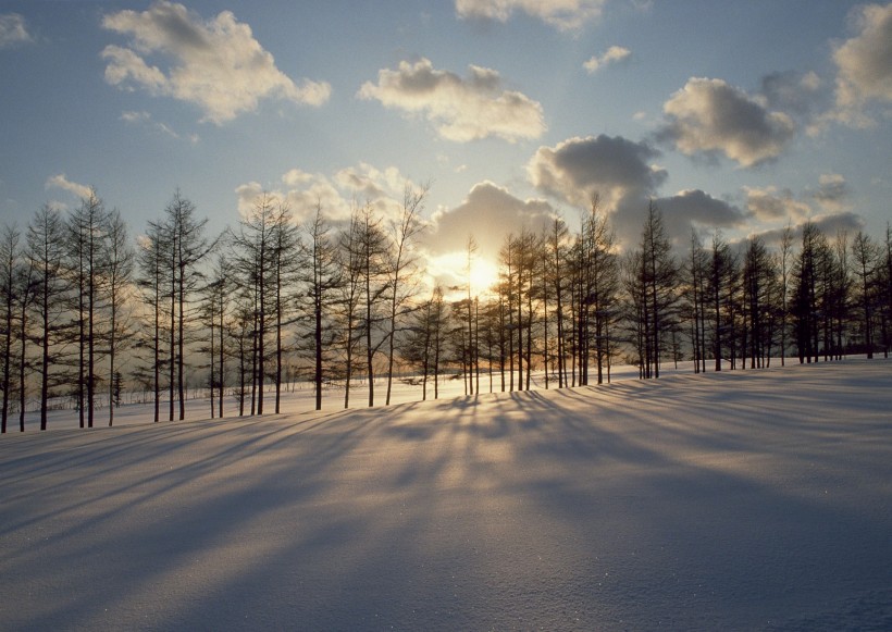 冬日雪景圖片