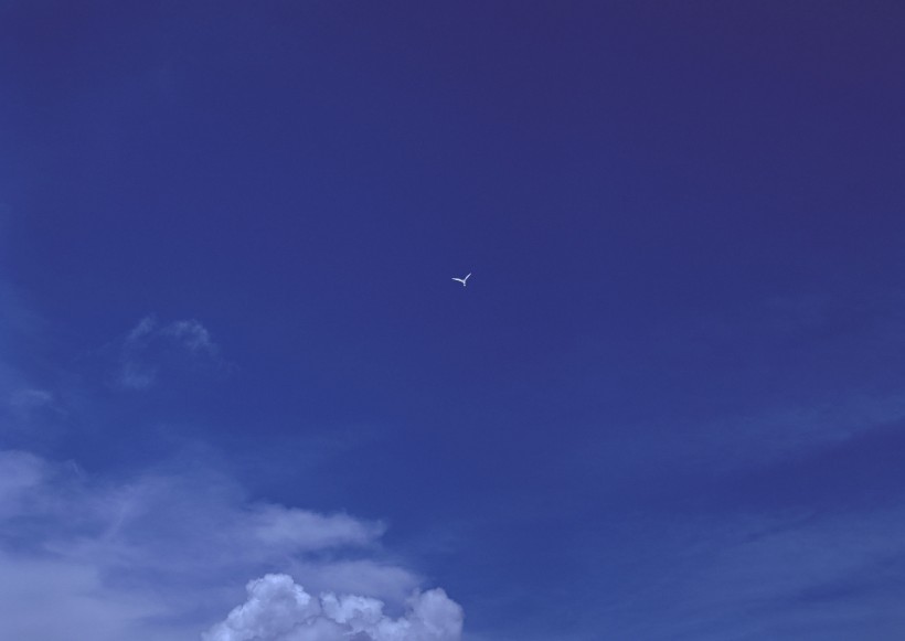 南太平洋的藍天白雲圖片