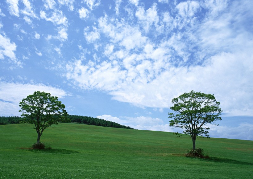 草原和蔚藍的天空圖片