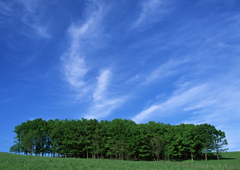 草原和蔚藍的天空圖片