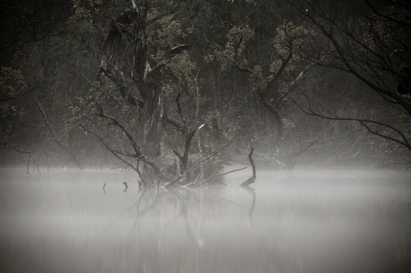 雲霧缭繞風景圖片
