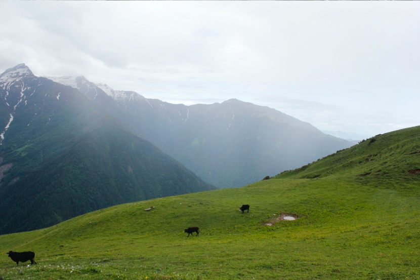 美麗高山平原風景圖片