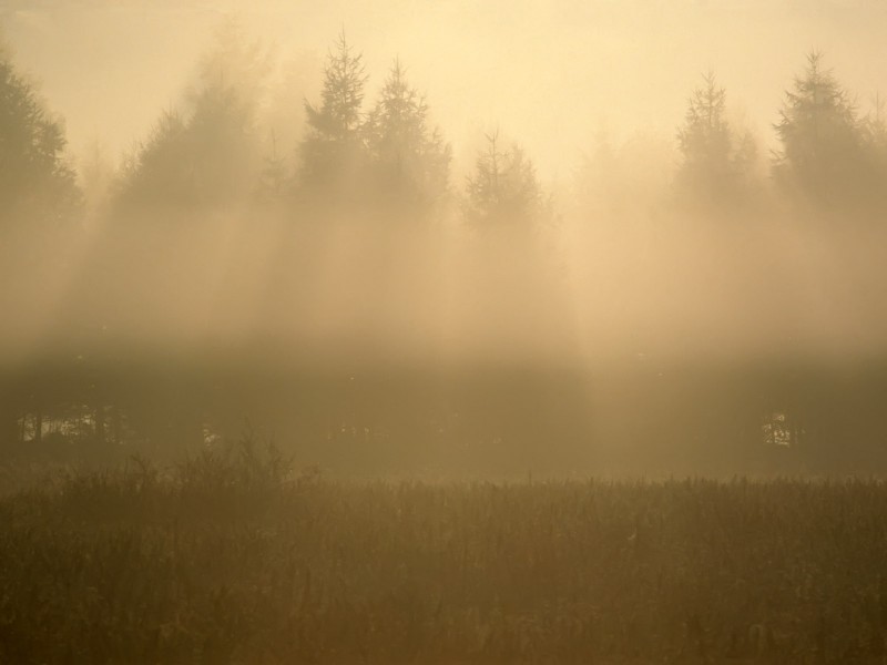 雲霧缭繞自然風景圖片