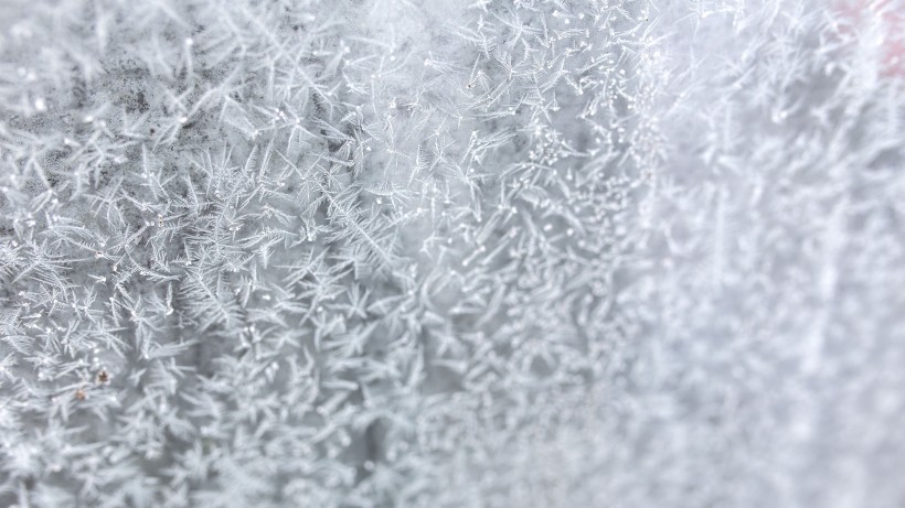 冬季雪後冰花風景圖片