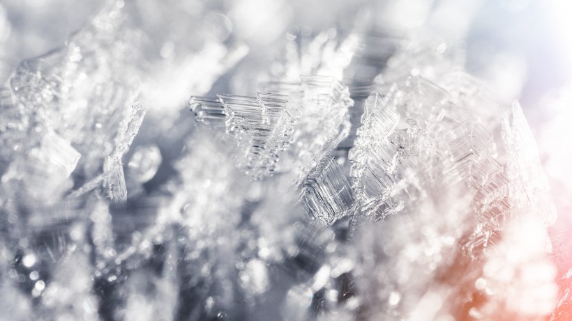 冬季雪後冰花風景圖片