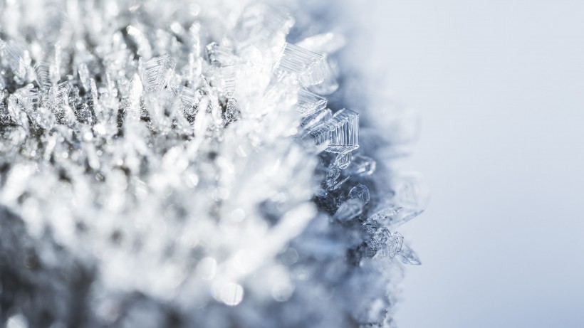 冬季雪後冰花風景圖片