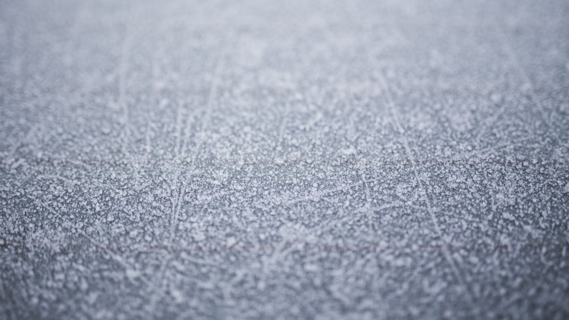 冬季雪後冰花風景圖片