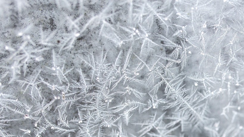 冬季雪後冰花風景圖片