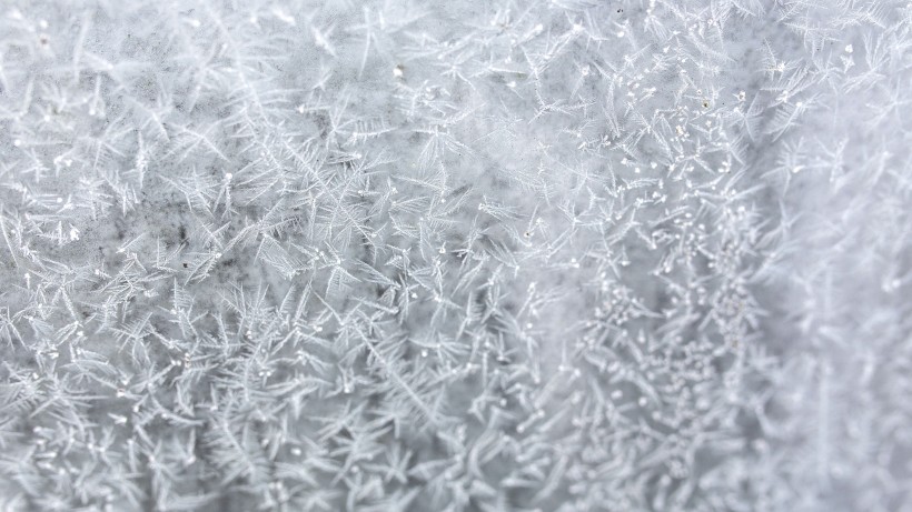 冬季雪後冰花風景圖片