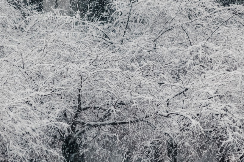 冬季的雪景圖片