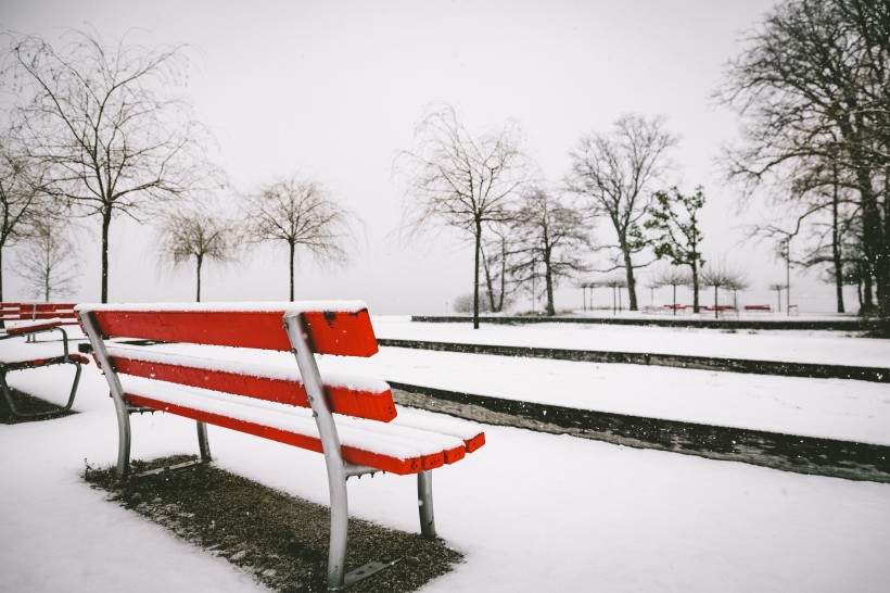 冬季的雪景圖片