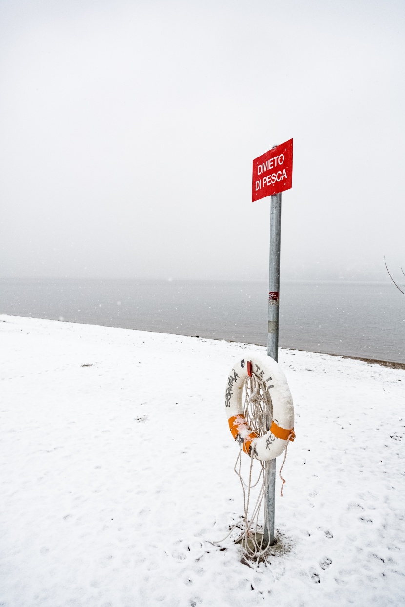 冬季的雪景圖片