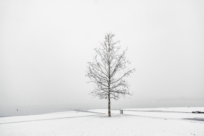 冬季的雪景圖片