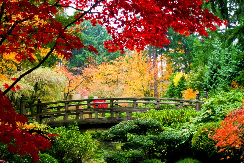 公園景色圖片