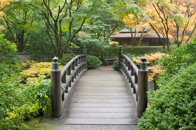 公園景色圖片
