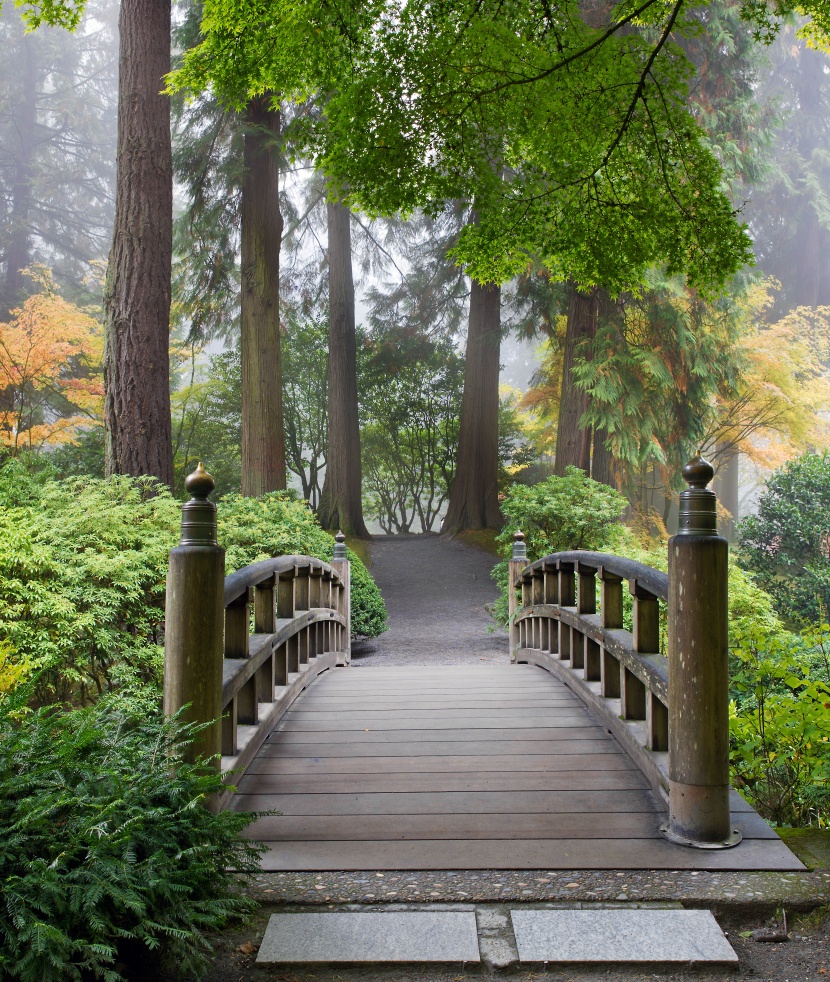 公園景色圖片
