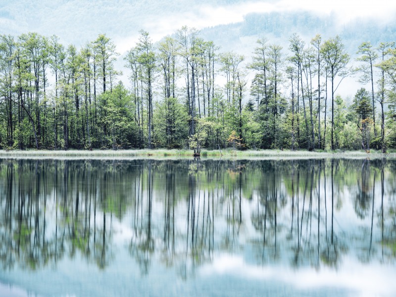 平靜的湖泊圖片