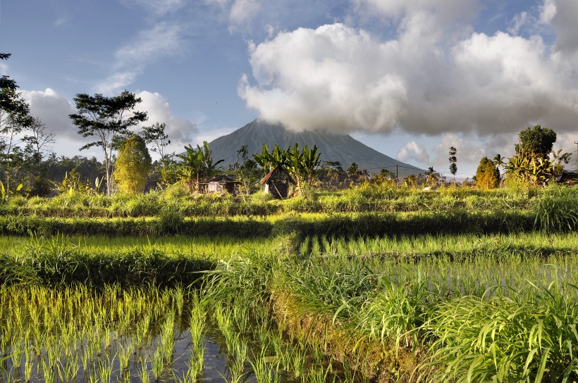 火山爆發圖片