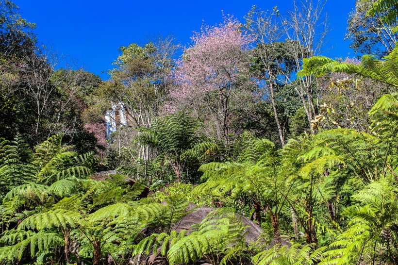 戶外公園圖片