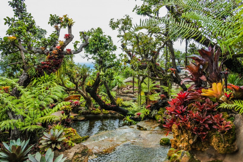 戶外公園圖片