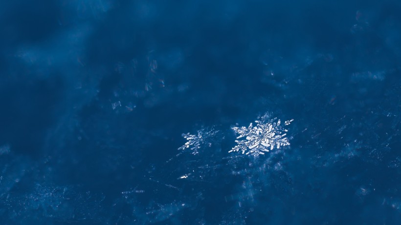 美麗的雪花圖片