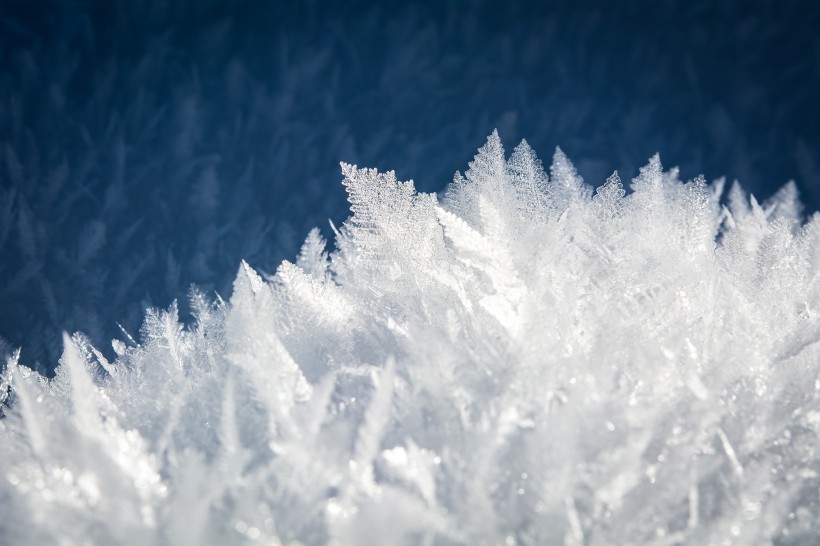 美麗的雪花圖片