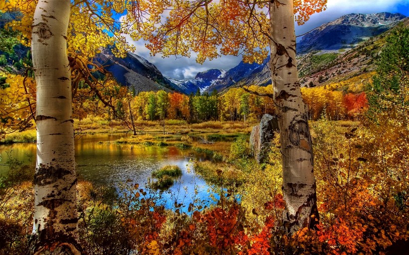 秋季美麗風景圖片