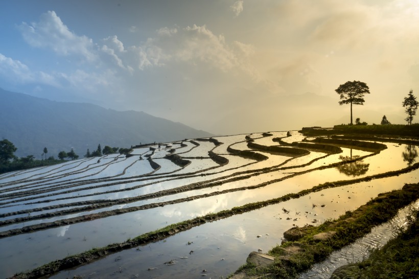 層疊的鄉村梯田風景圖片