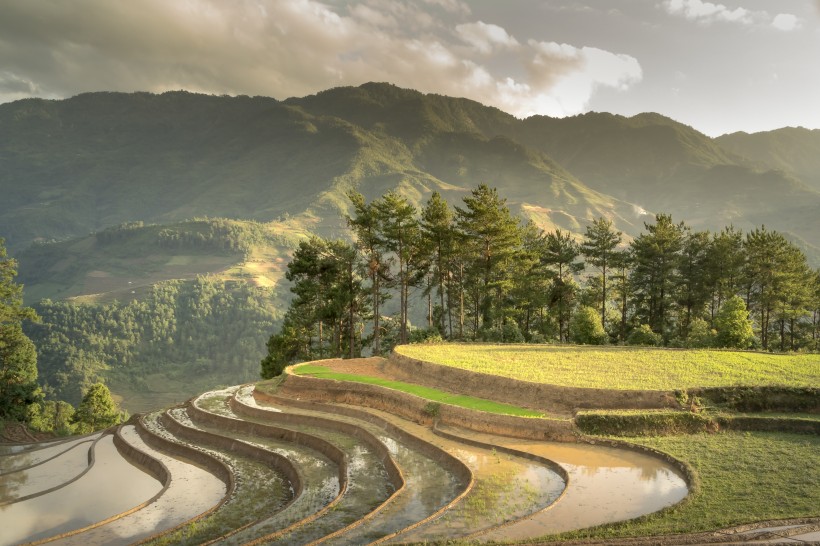 層疊的鄉村梯田風景圖片